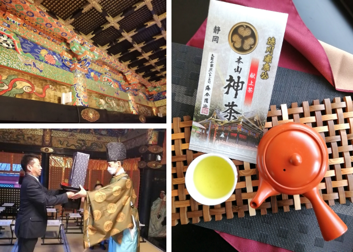 静岡本山茶「神茶(かみちゃ)」